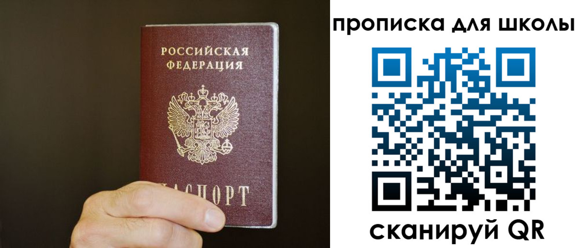 временная регистрация недорого в Мурино
